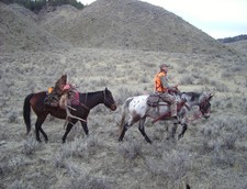 Richard packing a bull